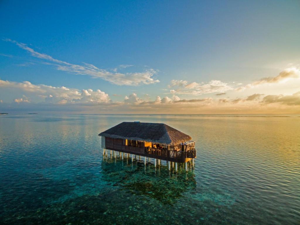 “07 Nights Holiday in Medhufushi Island Resort with Beach villa & Water villa” Starting From £1999pp