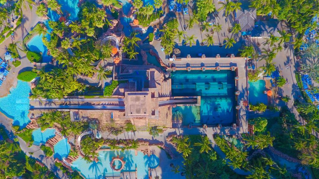 Starry Nights! Your 10 Nights Family Extravaganza in Orlando & Bahamas! Adventure Awaits!