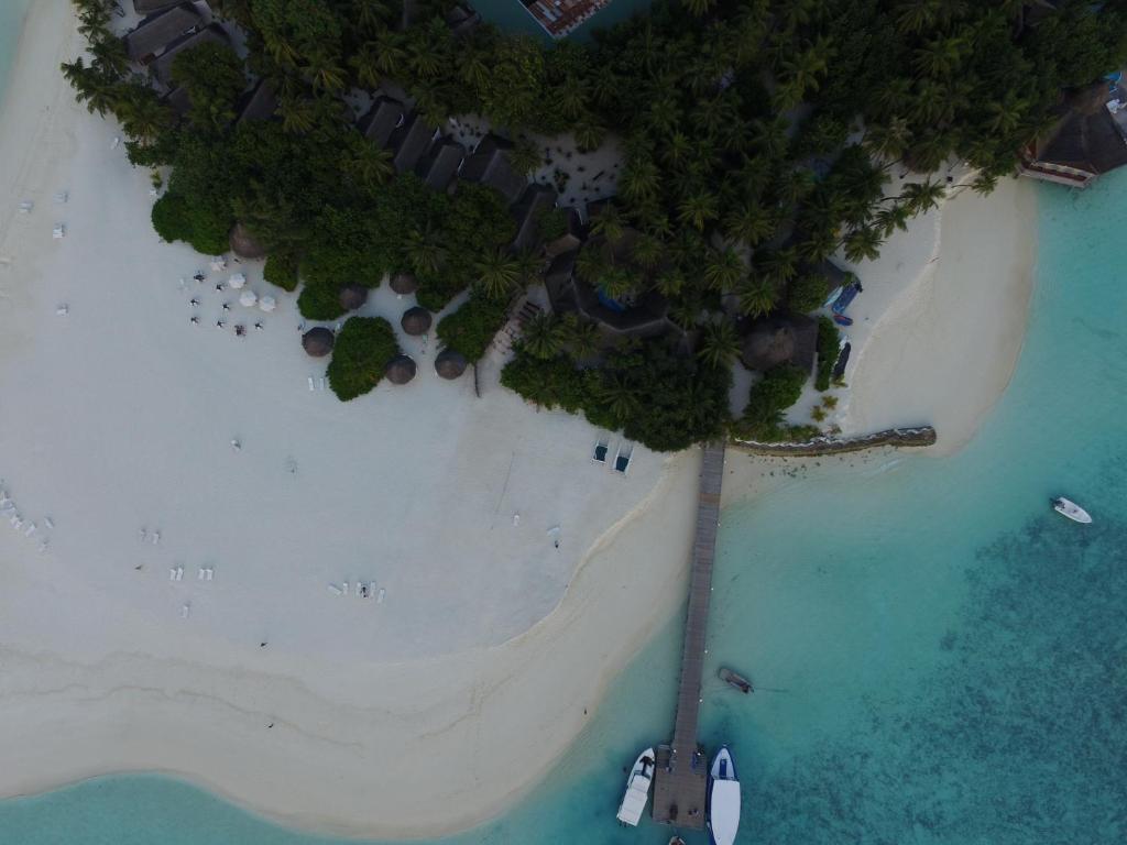 Sri Lanka Culture & Heritage + Maldives Bliss from ONLY £2,199pp