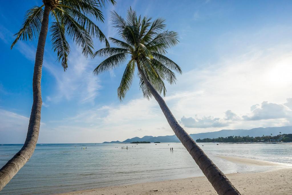12-Night Multi-Center Thailand Escape! covering Bangkok, Koh Samui & Phuket! price starting from £1,299/PP