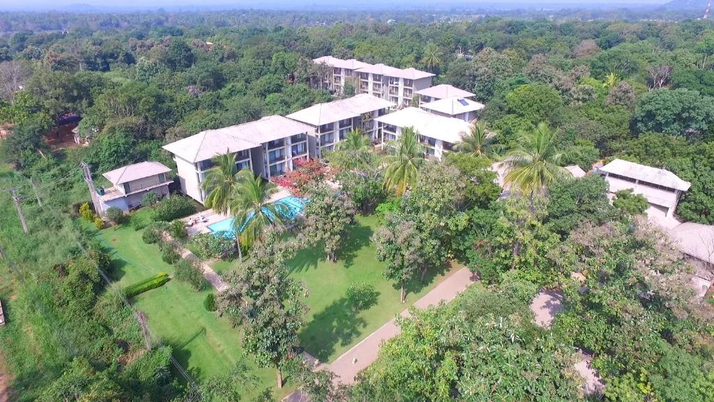 Embark on a 9 Night journey through the heart of Sri Lanka, Discovering Captivating Cities and Cultural Wonders. Priced at just £1799pp