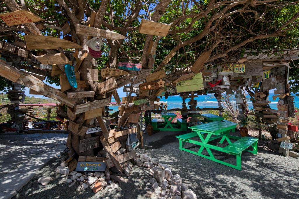 Explore the enchanting Antigua Attractions on a Fantastic 07 Night Getaway, all for just £1799pp