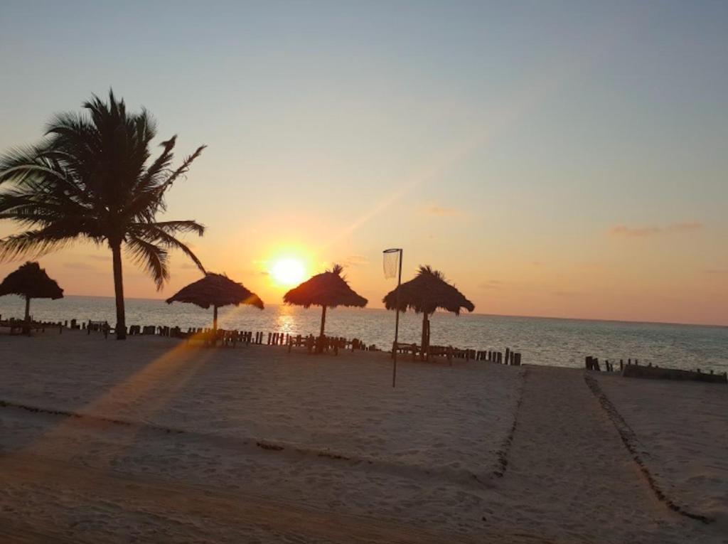 ZANZIBAR IS THE NEW MALDIVES DISCOVER IT WITH DUBAI 10 NIGHTS PRICE STARTING from 1,699/pp