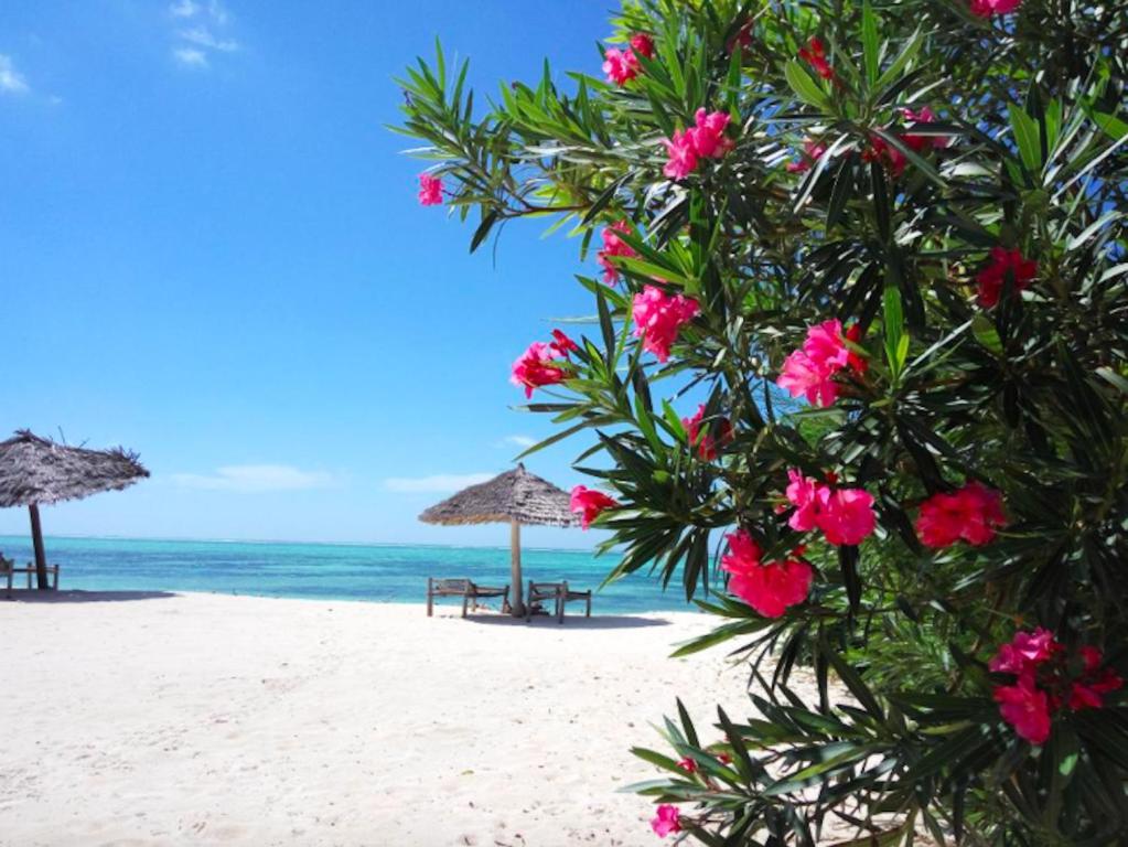 ZANZIBAR IS THE NEW MALDIVES DISCOVER IT WITH DUBAI 10 NIGHTS PRICE STARTING from 1,699/pp