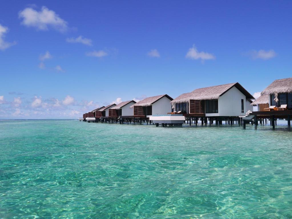 Take advantage of a 40% discount on a trip to the opulent Maldives