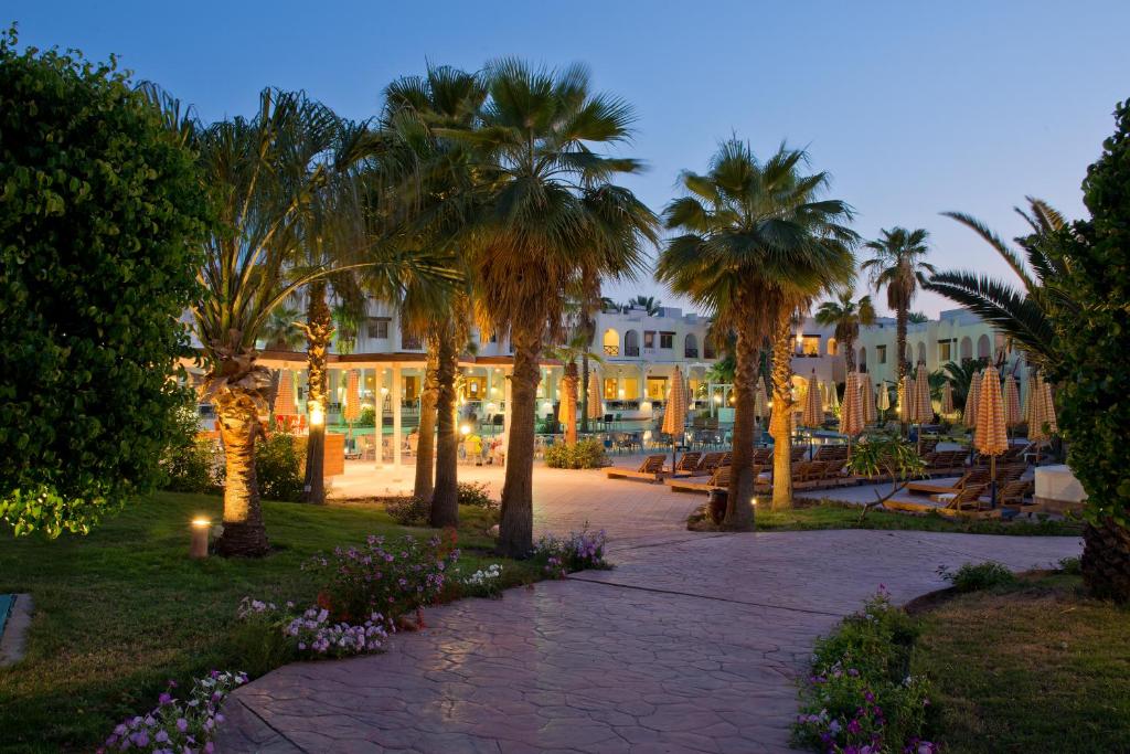 07 Nights Sharm El Sheikh Deal, Amphoras Aqua with All-Inclusive Basis for What A Holiday. £299/pp