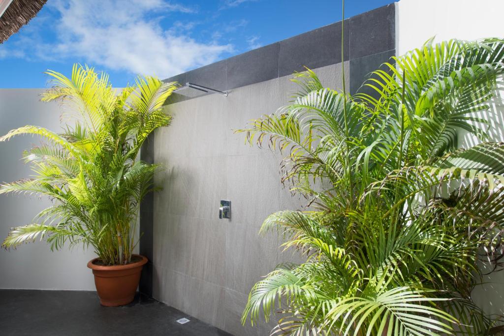 Sri Lanka Culture & Heritage + Maldives Bliss from ONLY £2,199pp