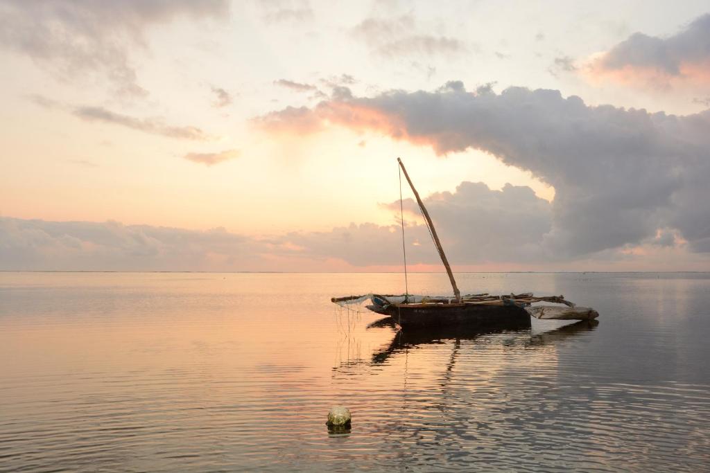 10 Nights From the Dazzling Skylines of Dubai to the Turquoise Shores of Zanzibar Price starting from £1599pp!