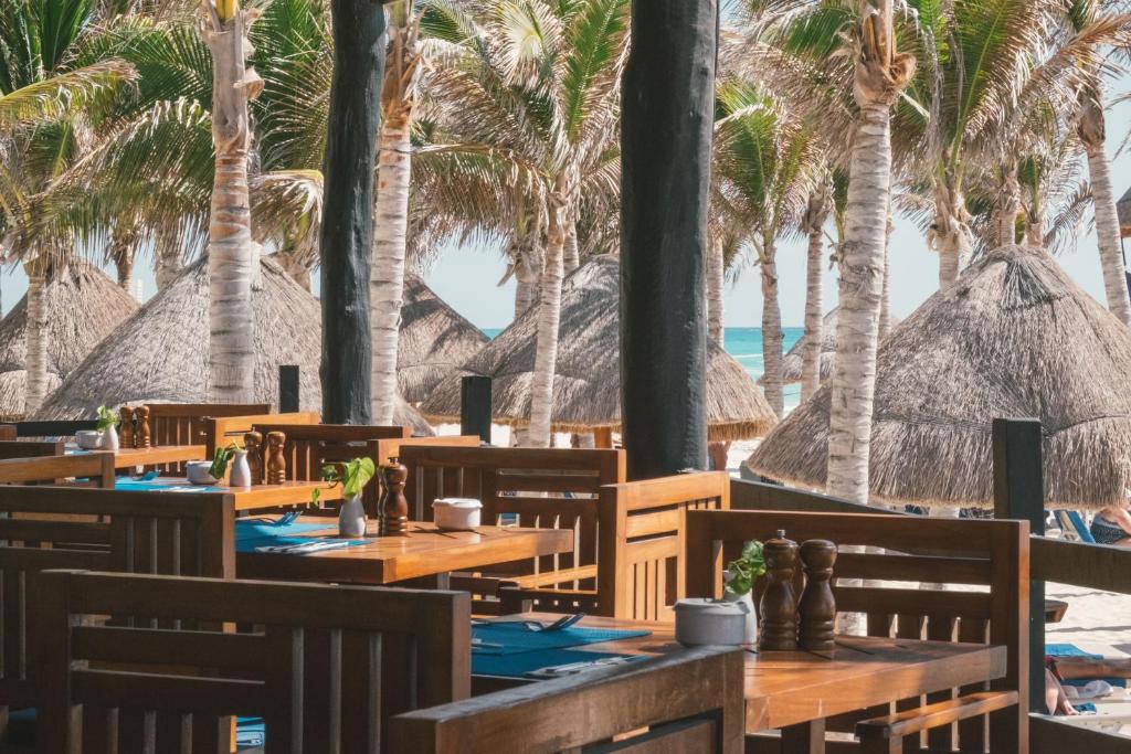 Double Destination Holiday Deal || Cancun + Las Vegas