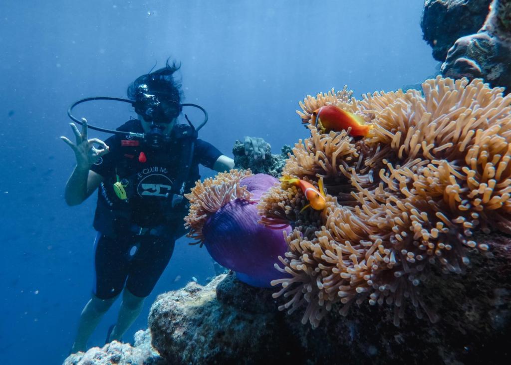 Complimentary Upgrade to Luxury Beach Villa with Private Pool 7 Nights All Inclusive Dine around