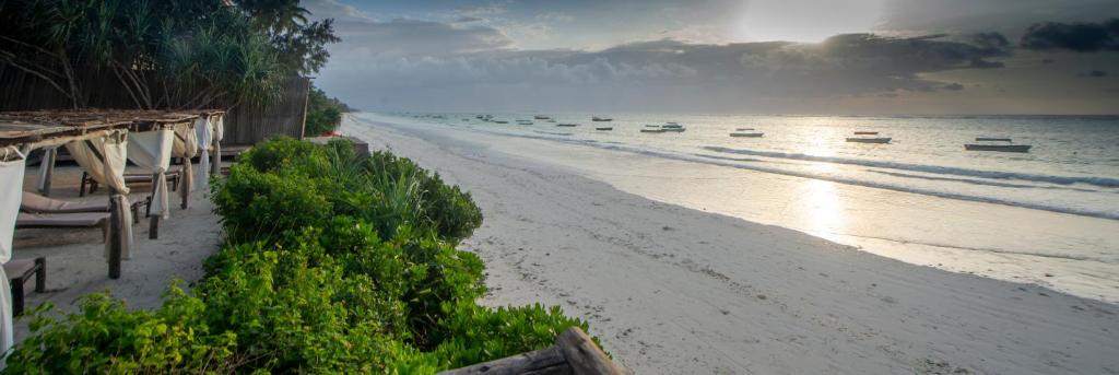 10 Nights From the Dazzling Skylines of Dubai to the Turquoise Shores of Zanzibar Price starting from £1599pp!