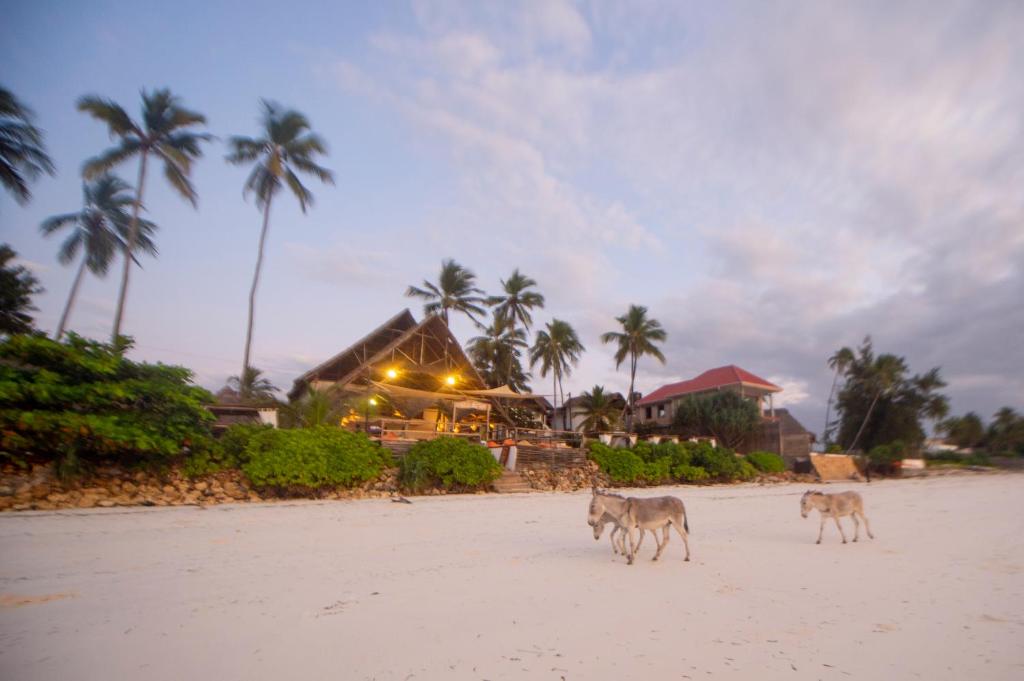 10 Nights From the Dazzling Skylines of Dubai to the Turquoise Shores of Zanzibar Price starting from £1599pp!