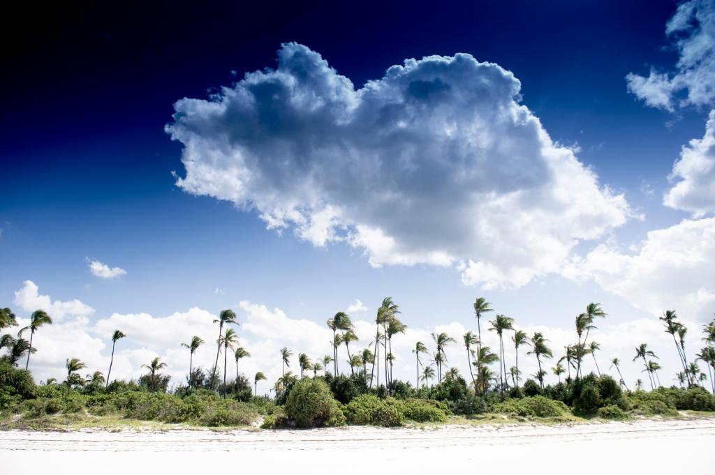 10 Nights From the Dazzling Skylines of Dubai to the Turquoise Shores of Zanzibar Price starting from £1599pp!