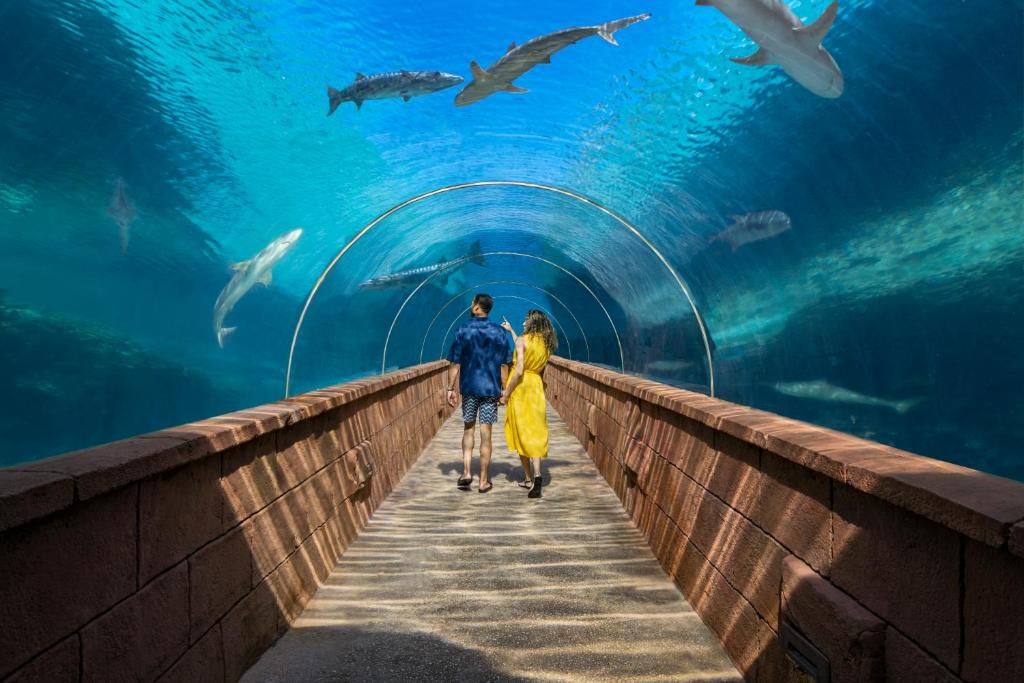 Starry Nights! Your 10 Nights Family Extravaganza in Orlando & Bahamas! Adventure Awaits!