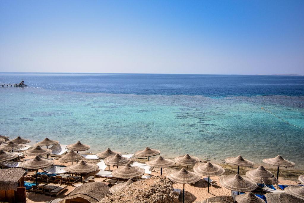 07 Nights Sharm El Sheikh Deal, DIVE INN RESORT with All-Inclusive Basis, Starting from £399/pp
