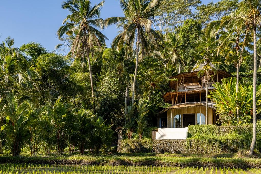 09 Nights Holiday Deal || Bali Beach Glamping & Eco Six Bali
