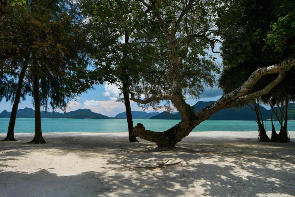 Exclusive Offer: 10 Nights in Malaysia’s Finest Resorts with Up to 40% Savings Accommodation and transfers included priced starting from £1549 per person
