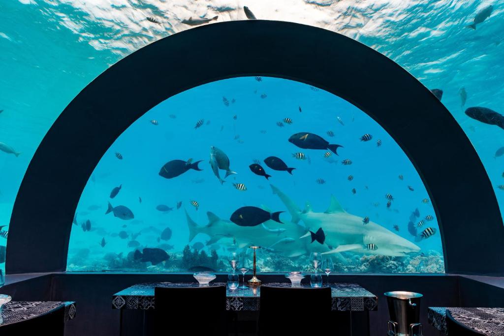 07 Nights Holiday at You & Me Maldives with Dolphin Villa