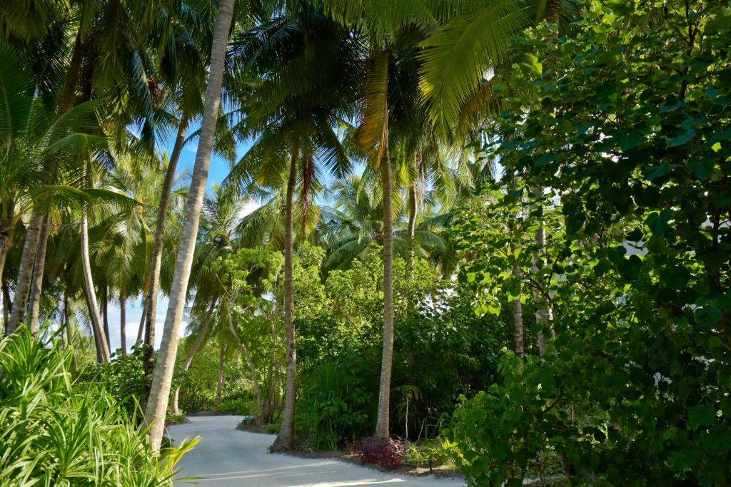 THE ULTIMATE MALDIVES FAMILY HOLIDAY 7 Nights in 5★ Kandima Maldives FROM ONLY £5,799 PER FAMILY