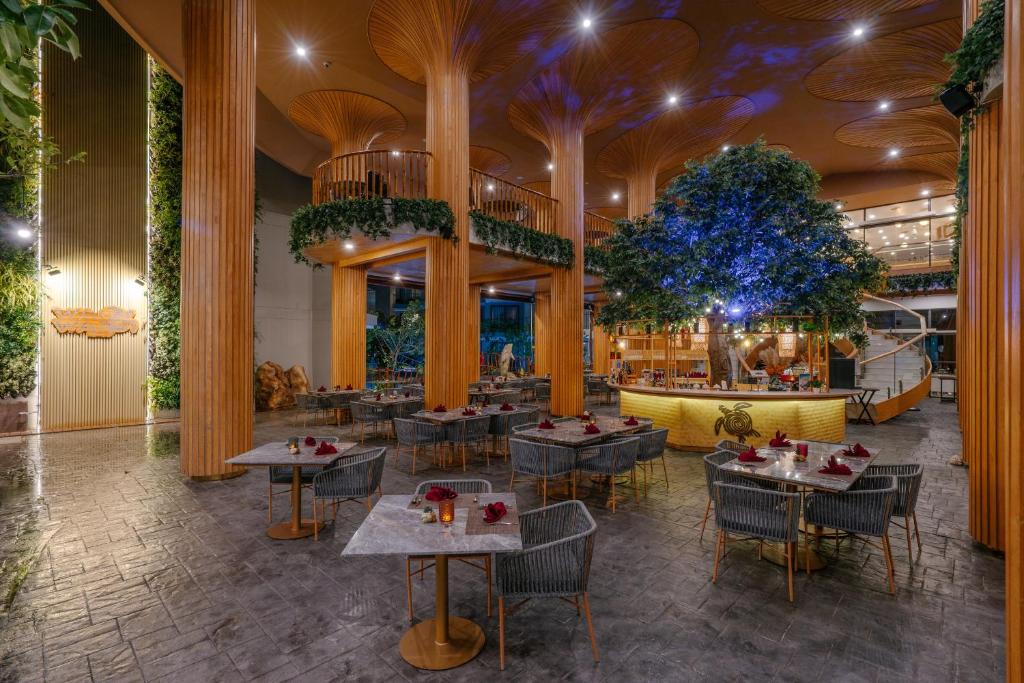 10 Nights 40% Discount Offer Twin Centre Holiday Deal