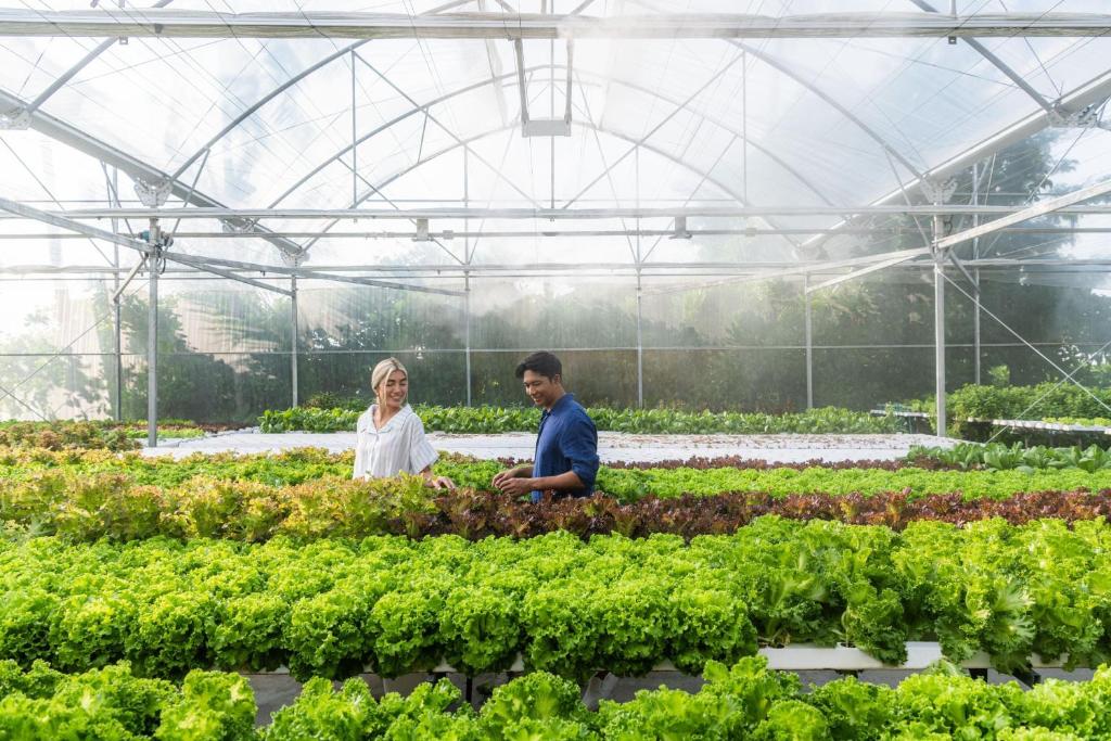 7 Nights Holiday Deal: New Winter Offer of Le Meridien Maldives with Lagoon Villa (All Inclusive Meal Plan)£3199/PP only