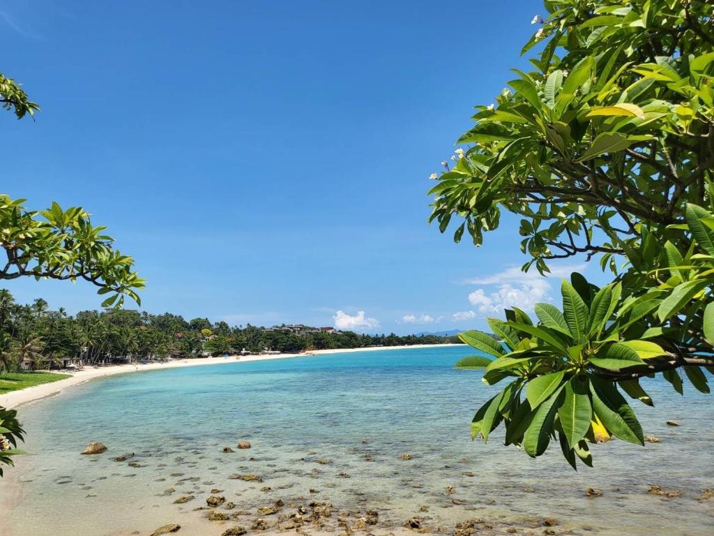 10 Nights THAILAND DREAM HOLIDAY | Elephant hills khao Sok | Bangkok | Koh Samui – price starting from £1,449/pp