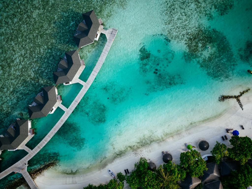 07 Nights of Aquatic Wonder at Grand Hyatt Dubai & Cinnamon Dhonveli Maldives, £ 2199 pp