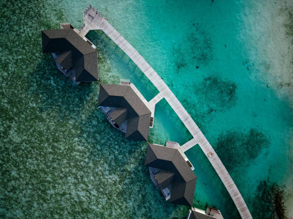 07 Nights of Aquatic Wonder at Grand Hyatt Dubai & Cinnamon Dhonveli Maldives, £ 2199 pp