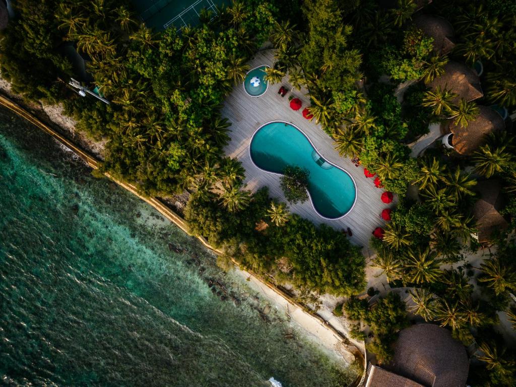 07 Nights of Aquatic Wonder at Grand Hyatt Dubai & Cinnamon Dhonveli Maldives, £ 2199 pp