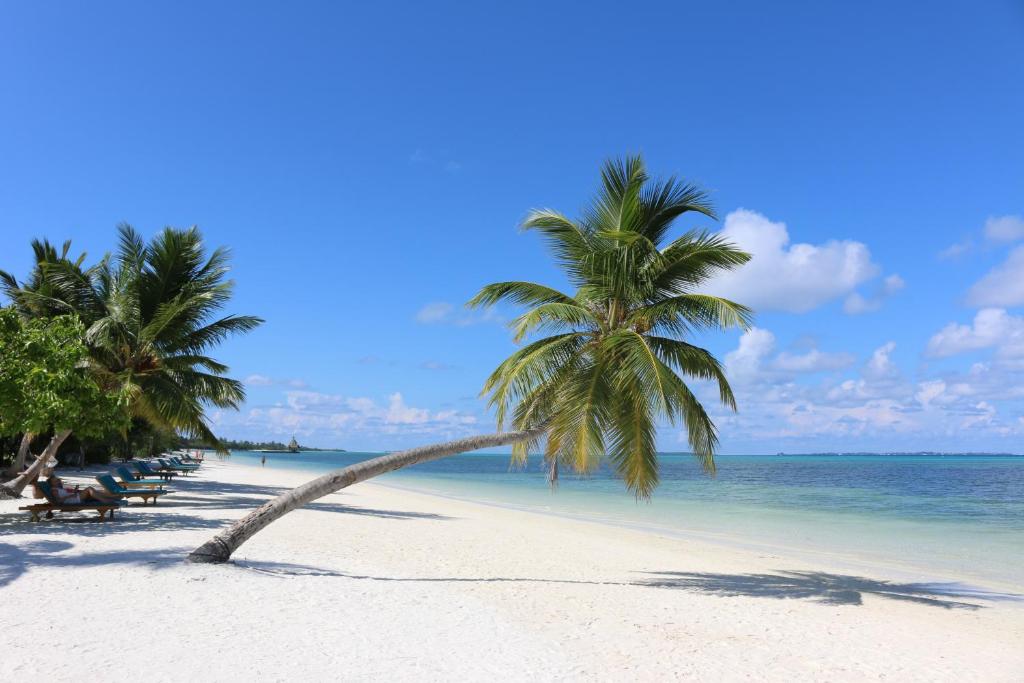 7 Nights Stay in Maldives in a Sunset Beach Villa – All-Inclusive + Speedboat Transfers Price starting from £1,649pp! Never Before Price!