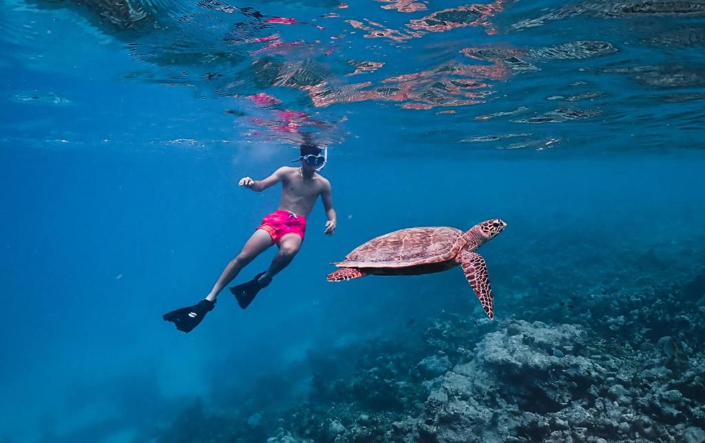Luxury Dual Destination: 03 Nights in Hilton Dubai the Walk & 07 Nights Meeru Island Maldives with All Inclusive Plus