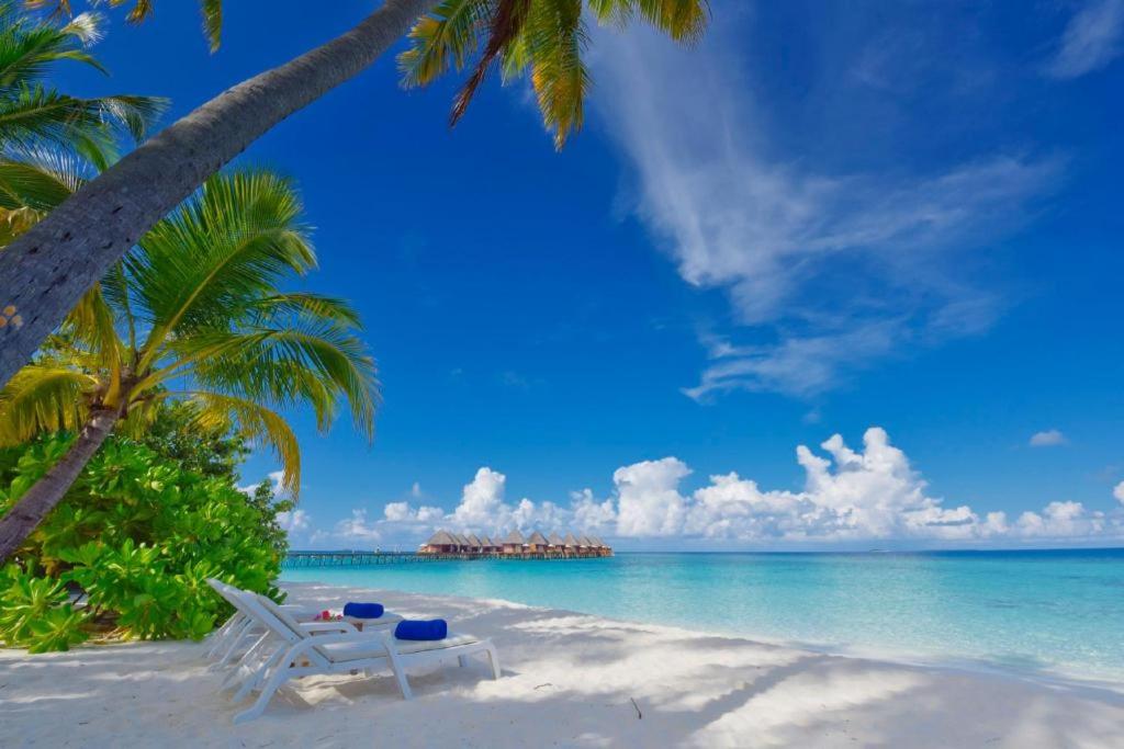 “Indulge in Unforgettable Moments: 07 Nights at Angaga Resort Maldive with Beach villa”