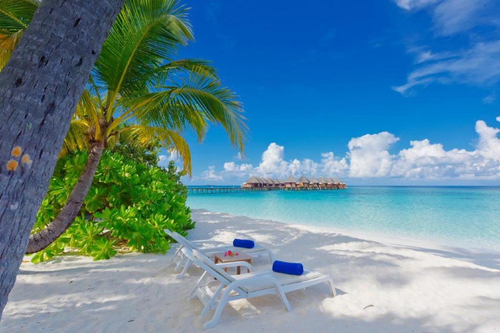 “Indulge in Unforgettable Moments: 07 Nights at Angaga Resort Maldive with Beach villa”
