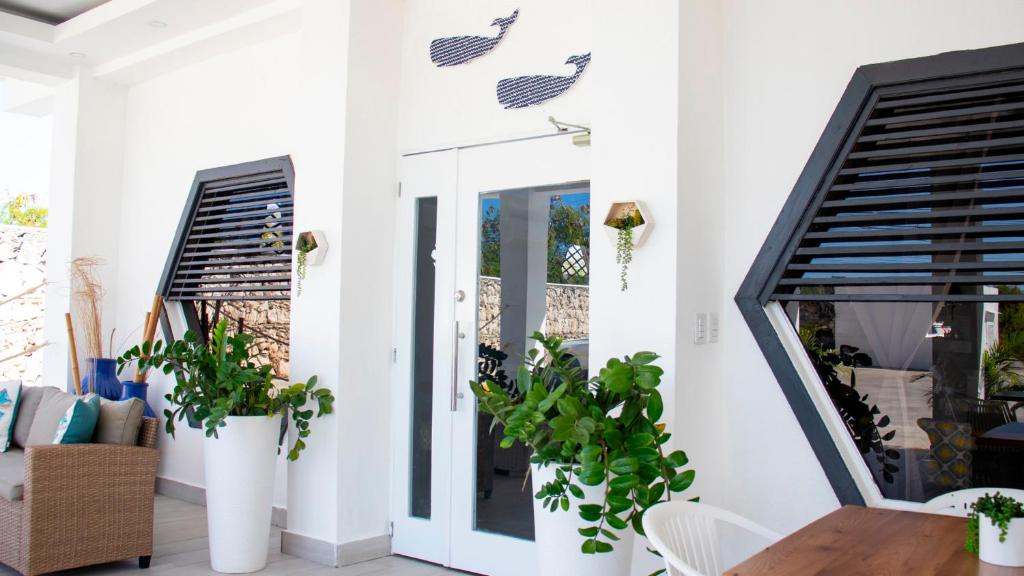 Twin City Deluxe Deal Punta Cana || Miami