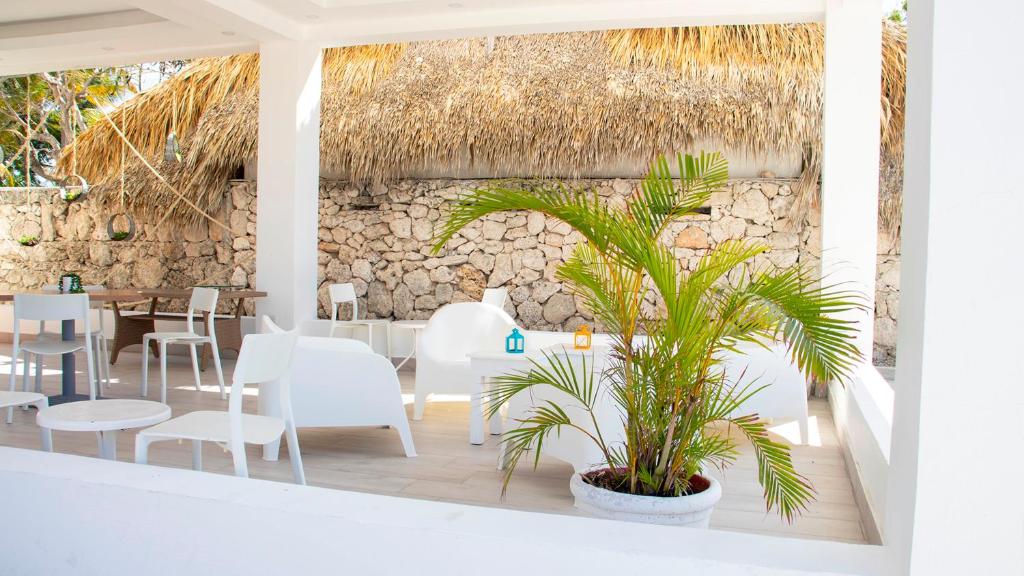 Twin City Deluxe Deal Punta Cana || Miami