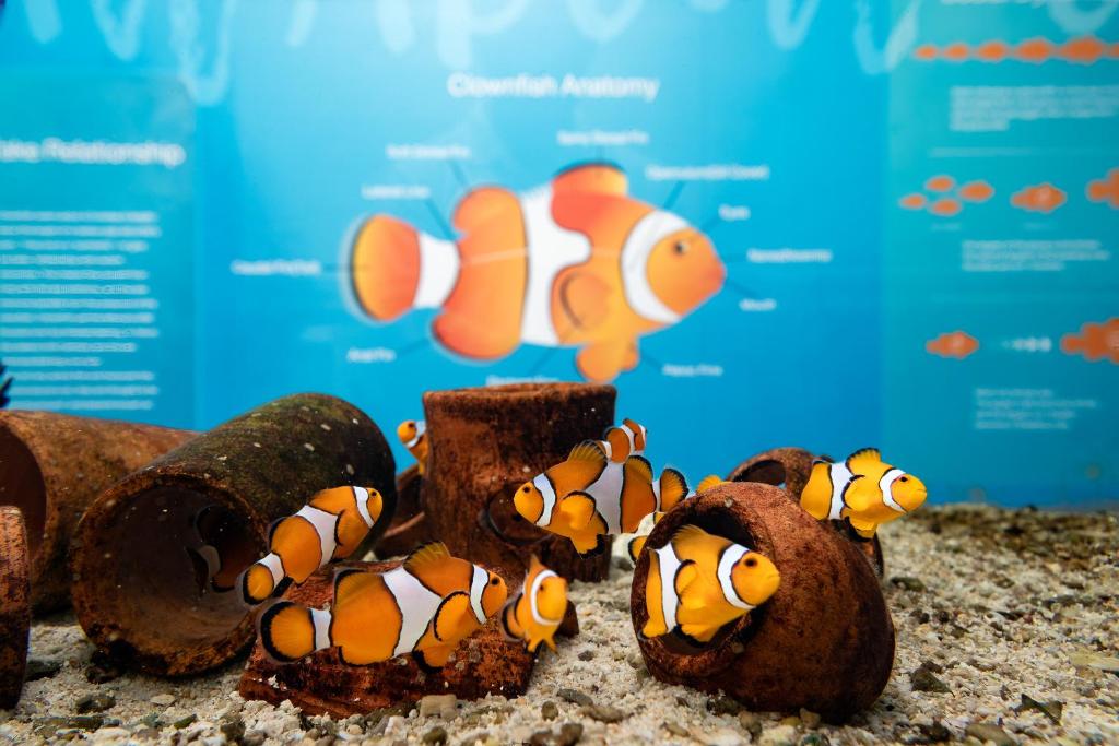 Your Exclusive 12 Night Getaway at Centara Kata Resort, Saii Phi Phi & Krabi La Playa, w/flights & transfers, Priced at only £1249pp