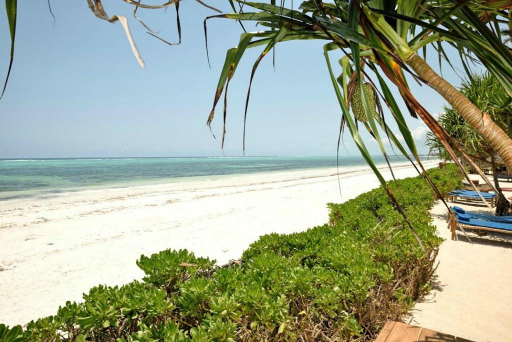 10 Nights From the Dazzling Skylines of Dubai to the Turquoise Shores of Zanzibar Price starting from £1599pp!