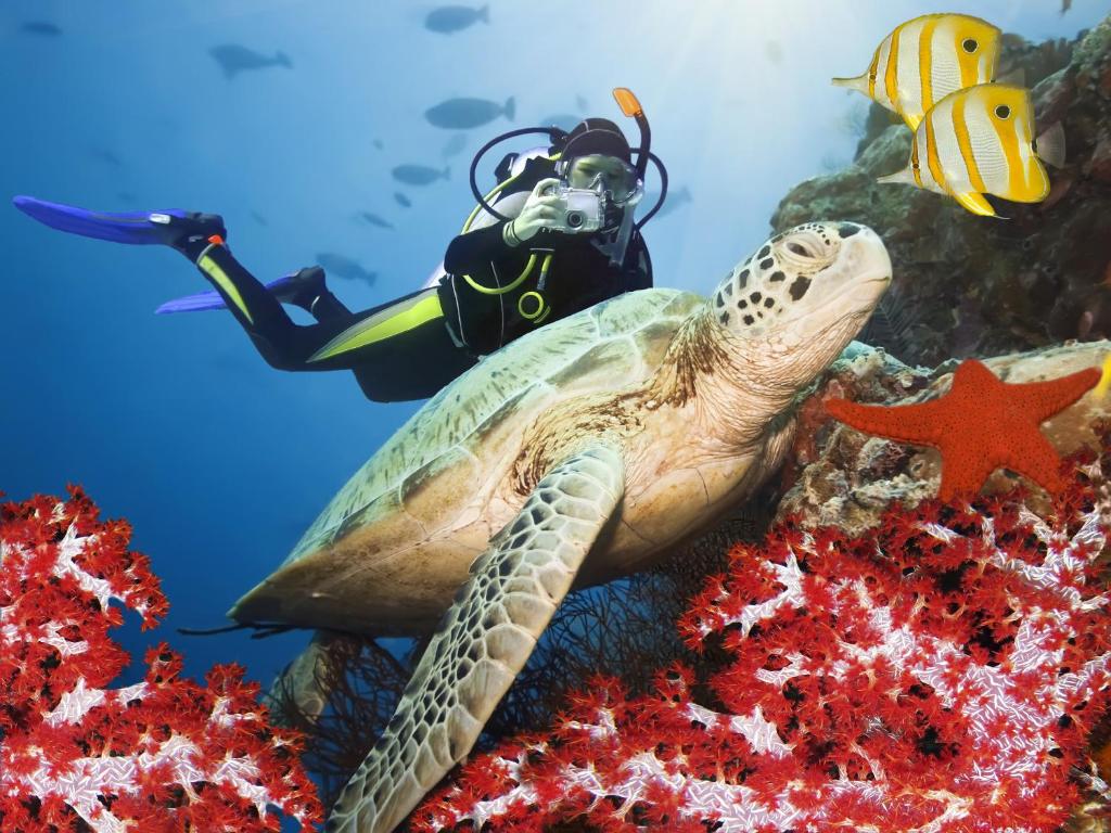 14 Nights All Inclusive Holiday Offer || 35% off Sun Siyam Iru Fushi