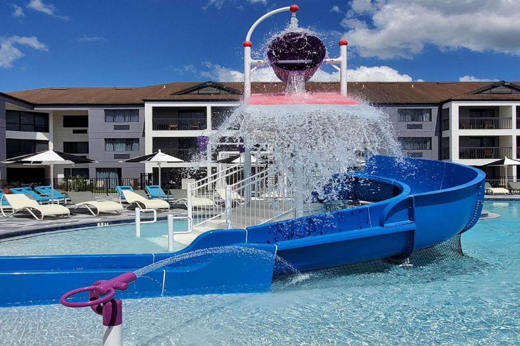 Starry Nights! Your 10 Nights Family Extravaganza in Orlando & Bahamas! Adventure Awaits!