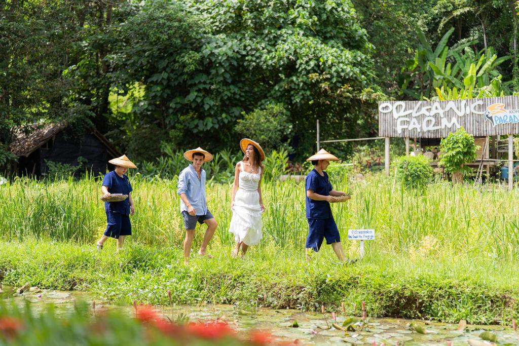 12 NIghts Holiday Deal at Koh Yao, Krabi & Bangkok with Breakfast