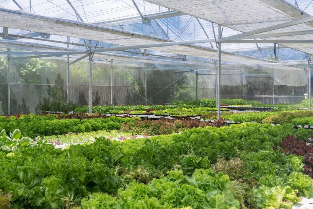 7 Nights Holiday Deal: New Winter Offer of Le Meridien Maldives with Lagoon Villa (All Inclusive Meal Plan)£3199/PP only