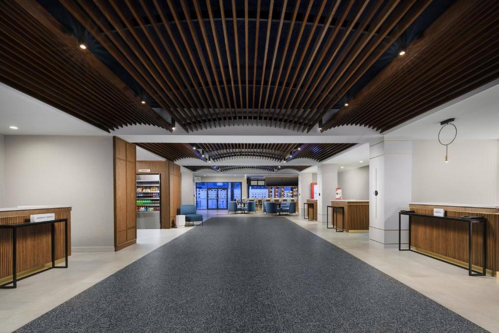 Starry Nights! Your 10 Nights Family Extravaganza in Orlando & Bahamas! Adventure Awaits!