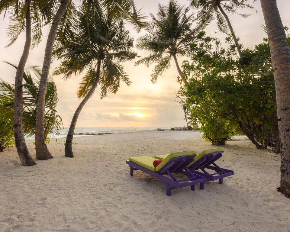 07 Nights Holiday at Villa Park Maldives with Sun Villa Starting from £ 2,499pp.