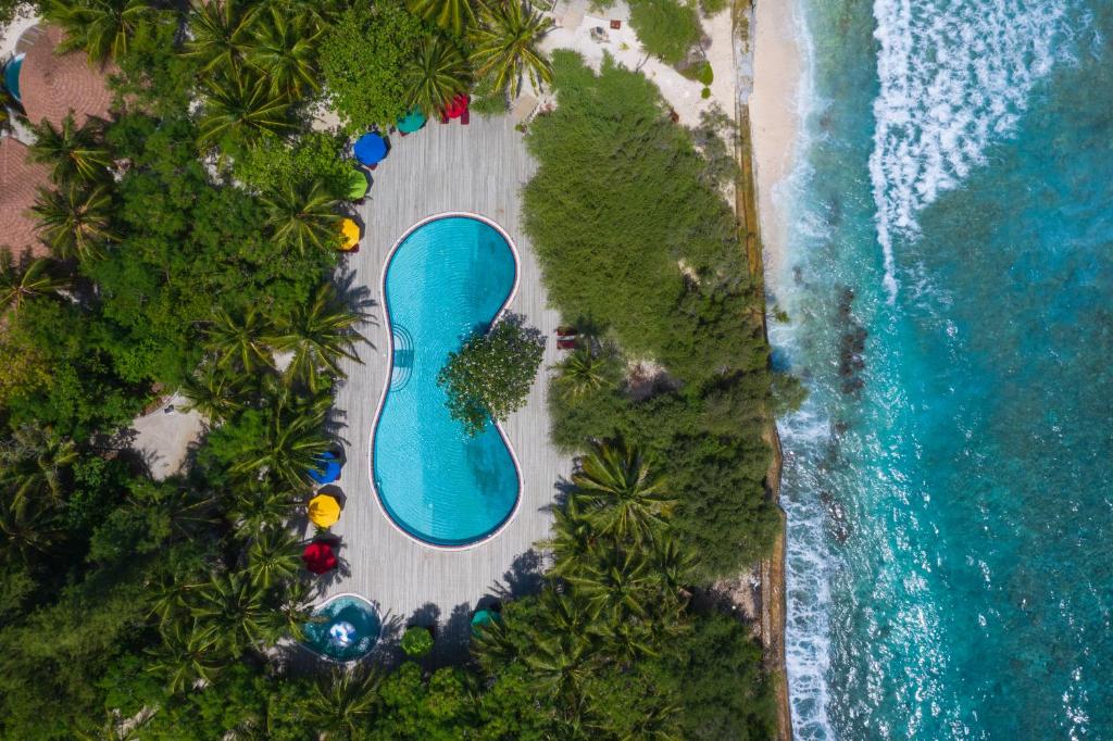 07 Nights of Aquatic Wonder at Grand Hyatt Dubai & Cinnamon Dhonveli Maldives, £ 2199 pp