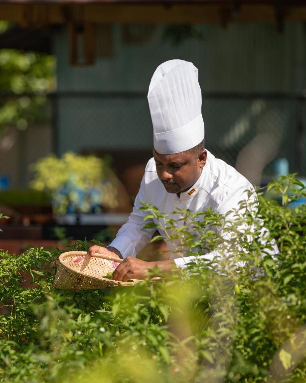 14 Days – Taj Mahal by Day, Turquoise Waters by Night From £2,249pp All-Inclusive