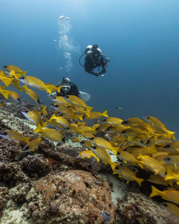 14 Days – Taj Mahal by Day, Turquoise Waters by Night From £2,249pp All-Inclusive