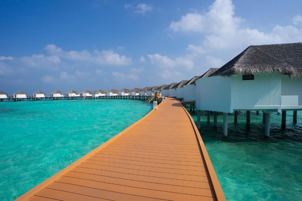 Sri Lanka Culture & Heritage + Maldives Bliss from ONLY £2,199pp