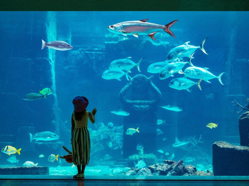 Starry Nights! Your 10 Nights Family Extravaganza in Orlando & Bahamas! Adventure Awaits!