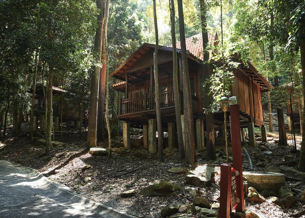 09 Nights in Kuala Lumpur and Langkawai to unfold Beachfront Bliss & Cultural Marvels