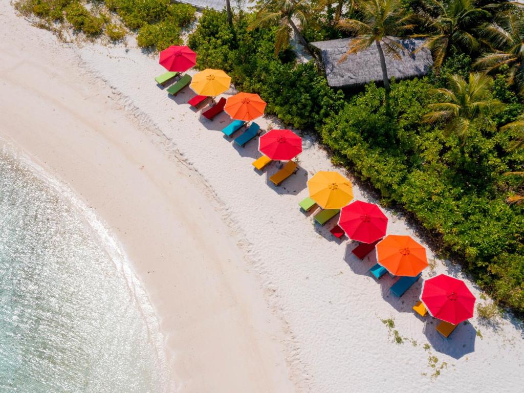 07 NIghts Holiday at Oaga Art Resort Maldives with Veyoge Gallery Pool Villa